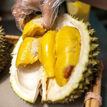 varietas durian Malaysia