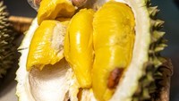 D198 atau durian Golden Phoenix terkenal dengan dagingnya yang berwarna keemasan. Rasanya manis dan sedikit ada sensasi fermentasi dengan tekstur yang lembut kaya. Foto: iStockphoto/DETIKFOOD