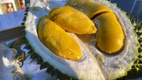 Musang King atau Mao Shan Wang merupakan varietas durian unggulan di Malaysia. Varietas satu ini banyak diekspor ke negara Asia. Durian ini memiliki daging yang tebal dan creamy dengan biji yang sangat kecil. Foto: iStockphoto/DETIKFOOD