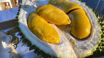 10 Varietas Durian Malaysia, D24 hingga Musang King