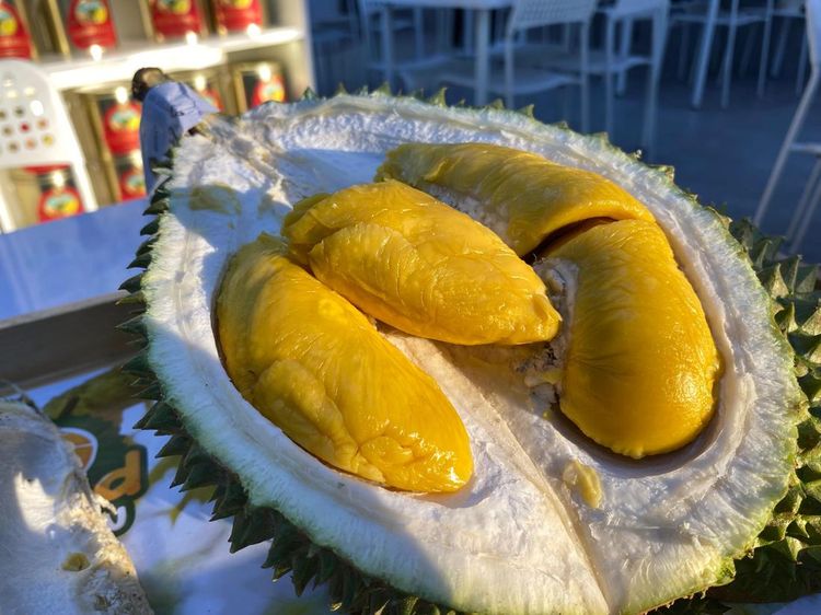 10 Varietas Durian Malaysia, D24 hingga Musang King
