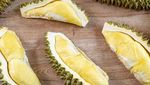 10 Varietas Durian Malaysia, D24 hingga Musang King