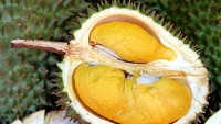 Durian d28 atau creamy bun merupakan varietas yang populer di Malaysia. Asalnya dari Seremban, durian ini memiliki rasa manis dan kuat yang seimbang. Buahnya juga memiliki biji yang besar. Foto: iStockphoto/DETIKFOOD