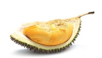 Durian Golden Bun sering dipuji karena dagingnya yang berwarna keemasan. Varietas ini dikenal sebagai harta karun. Rasanya memikat selera karena cenderung manis lembut. Foto: iStockphoto/DETIKFOOD