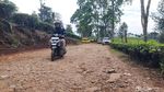 Pesona Hamparan Kebun Teh di Sukawana Bandung Barat