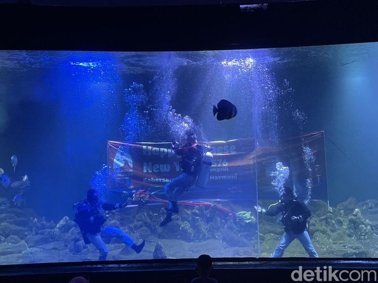 Ciaat.. Begini Aksi Kungfu Dalam Air di Aquarium Indonesia