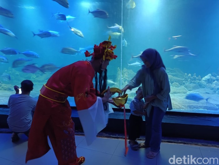 Kungfu dalam air di Aquarium Indonesia