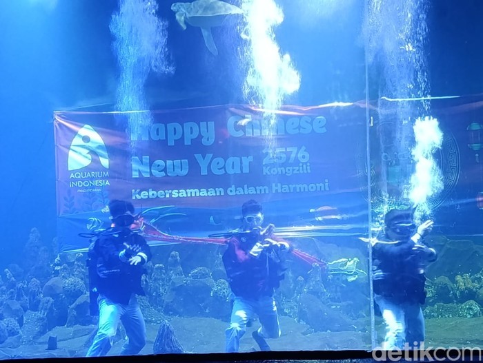 Kungfu dalam air di Aquarium Indonesia Kungfu dalam air di Aquarium Indonesia