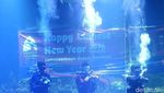 Ciaat.. Begini Aksi Kungfu Dalam Air di Aquarium Indonesia