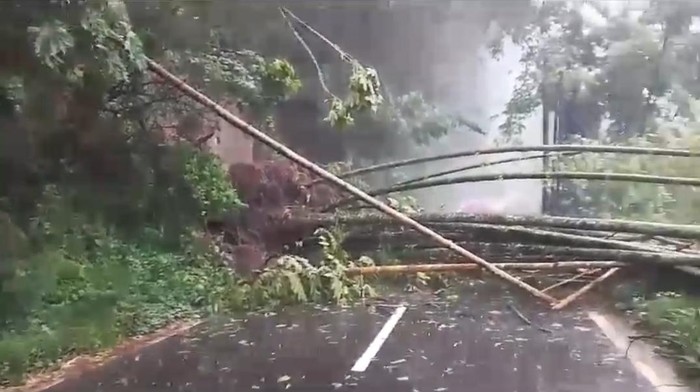material longsor menutup akses jalan provinsi Malang-Kediri