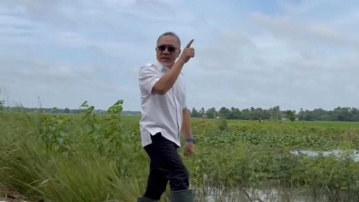 Menko Zulhas cek sawah kebanjiran di Lampung