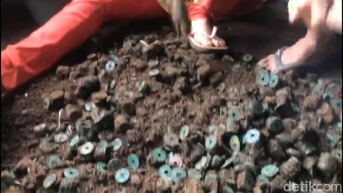 Petani Lereng Bromo Temukan 1 Kuintal Koin Kuno Saat Hendak Tanam Kubis