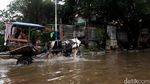 Potret Pengendara Nekat Terobos Banjir di Kelapa Gading