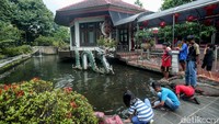 Kolam yang berada di area vihara ramai didatangi anak-anak yang ingin melihat berbagai jenis ikan.  