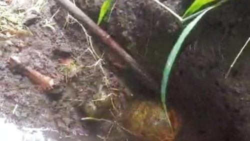 Temuan tengkorak di irigasi sawah Lombok Timur, Selasa (28/1/2025).