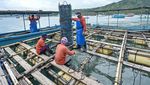 Panen Mutiara di Laut, Kayak Jinny Oh Jinny