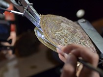 Panen Mutiara di Laut, Kayak Jinny Oh Jinny