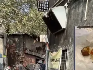 Viral! Netizen Ini Temukan Cloud Kitchen Jorok di India