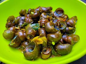 Hukum Makan Bekicot Menurut MUI