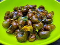 Hukum Makan Bekicot Menurut MUI