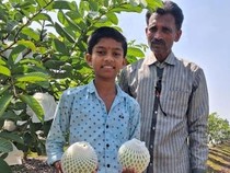 Berani Lawan Arus, Uday Kini Jadi Bos Jambu Beromzet Ratusan Juta