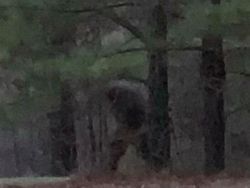 Jangan Lihat Sendiri, Jejak Foto yang Tertangkap Kamera Ini Buat Merinding