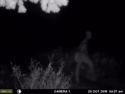 Jangan Lihat Sendiri, Jejak Foto yang Tertangkap Kamera Ini Buat Merinding