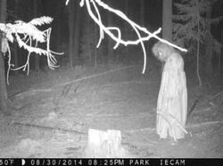 Jangan Lihat Sendiri, Jejak Foto yang Tertangkap Kamera Ini Buat Merinding