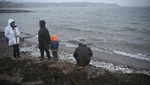 Jutaan Ikan Mati Muncul di Pantai Finlandia