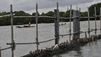 Proyek tersebut diduga menyalahi Undang-Undang (UU) Nomor 32 Tahun 2009 tentang Perlindungan dan Pengelolaan Lingkungan Hidup.