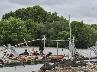 KLH Segel Pagar Laut di Pesisir Tarumajaya Bekasi