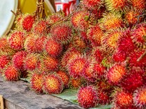 Ibu Hamil Ternyata Tak Boleh Banyak Makan Rambutan, Ini Alasannya