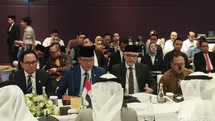Menlu RI Sugiono dan delegasi UEA bertemu. (Maulana Ilhami Fawdi/detikcom)