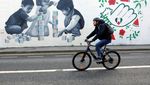 Mural Dukung Palestina di Dublin