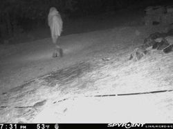 Foto Penampakan Sosok Mengerikan Terekam Kamera Jejak