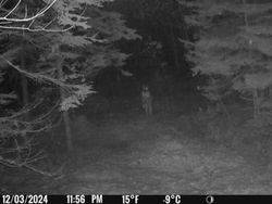 Foto Penampakan Sosok Mengerikan Terekam Kamera Jejak