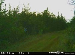 Foto Penampakan Sosok Mengerikan Terekam Kamera Jejak