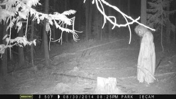 Penampakan wanita menyeramkan di hutan Washington State Woods. Foto: Boredpanda