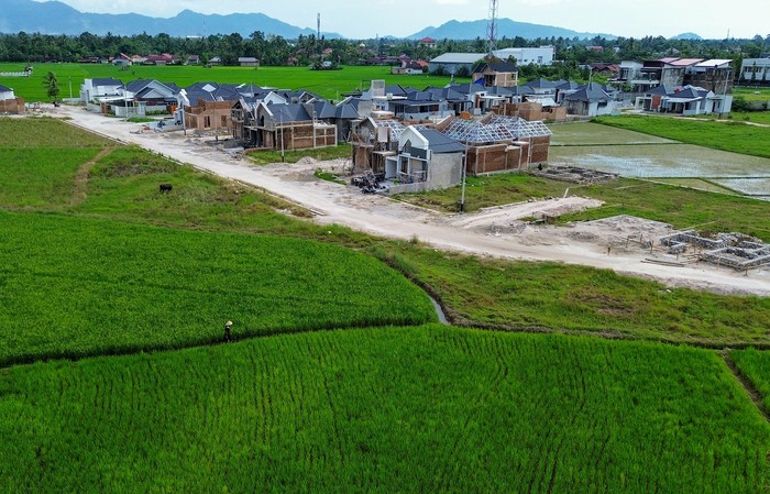Penyusutan Lahan Pertanian di Padang Petani berjalan di pematang sawah, dekat lokasi pembangunan perumahan di Sungai Sapih, Padang, Sumatera Barat, Kamis (30/1/2025). Data Pemkot Padang luas lahan pertanian di kota itu pada tahun 2023 mencapai 5.216 hektare, menyusut sebanyak 875 hektare pada 2024 menjadi 4.341 karena beralih fungsi menjadi perumahan dan area pembangunan lainnya. ANTARA FOTO/Iggoy el Fitra/rwa.