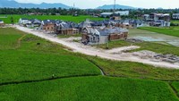 Lahan pertanian menyusut karena beralih fungsi menjadi perumahan.  