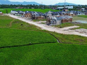 94 Ribu Ha Sawah Terdampak Banjir Sumatera, 34 Ribu Ha Sudah Ditanami Lagi