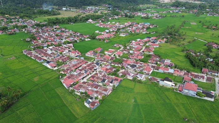 Petani berjalan di pematang sawah, dekat lokasi pembangunan perumahan di Sungai Sapih, Padang, Sumatera Barat, Kamis (30/1/2025). Data Pemkot Padang luas lahan pertanian di kota itu pada tahun 2023 mencapai 5.216 hektare, menyusut sebanyak 875 hektare pada 2024 menjadi 4.341 karena beralih fungsi menjadi perumahan dan area pembangunan lainnya.  ANTARA FOTO/Iggoy el Fitra/rwa.
