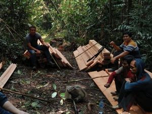 7 Perambah SM Rimbang Baling Ditangkap, Kayu Olahan-Mesin Potong Disita
