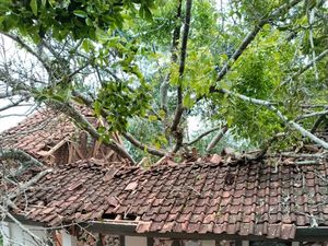 Pohon Beringin Timpa Dua Ruang Kelas SD Cianjur, 6 Siswa Terluka