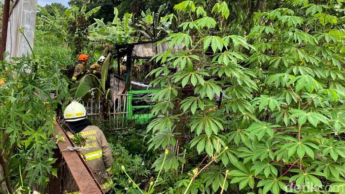 Sebuah bangunan semi permanen atau gubuk yang ada dibagian belakang PT Pindad, Kota Bandung mengalami kebakaran.