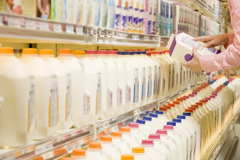 susu unta alternatif susu sapi