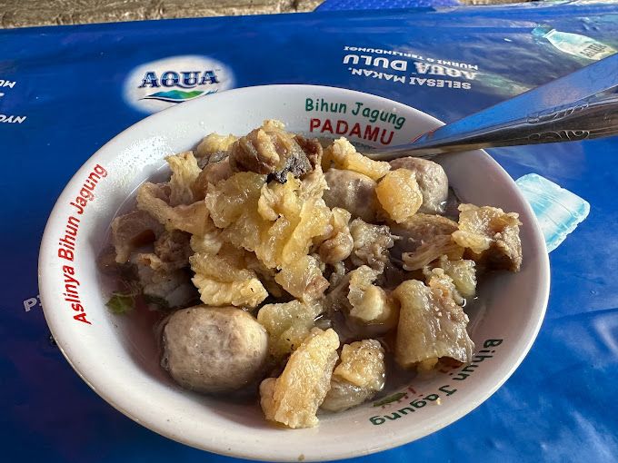 10 Bakso Legendaris hingga Viral di Bogor Buat Ide Kulineran