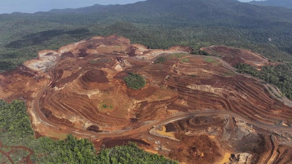 Hutan di Pulau Gag Gundul Imbas Tambang Nikel