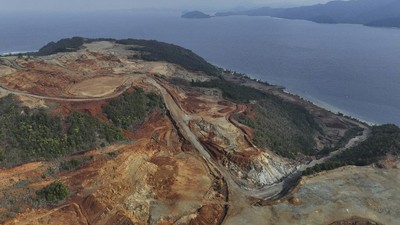 Begini Dampak Ngeri Tambang ke Ekosistem Laut