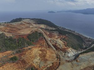 Deforestasi RI Masuk 5 Besar Dunia, Kalimantan Ikut Terdampak